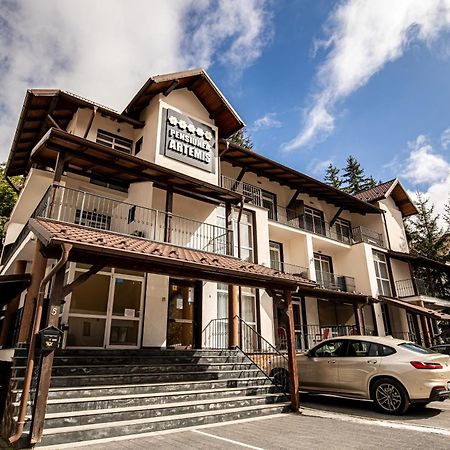 Artemis Villa Poiana Braşov Exterior foto