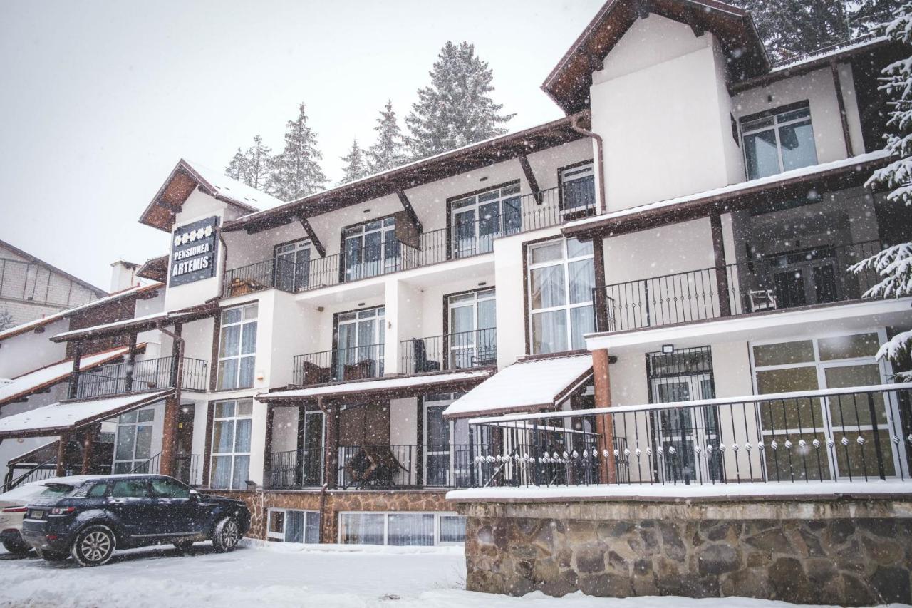 Artemis Villa Poiana Braşov Exterior foto
