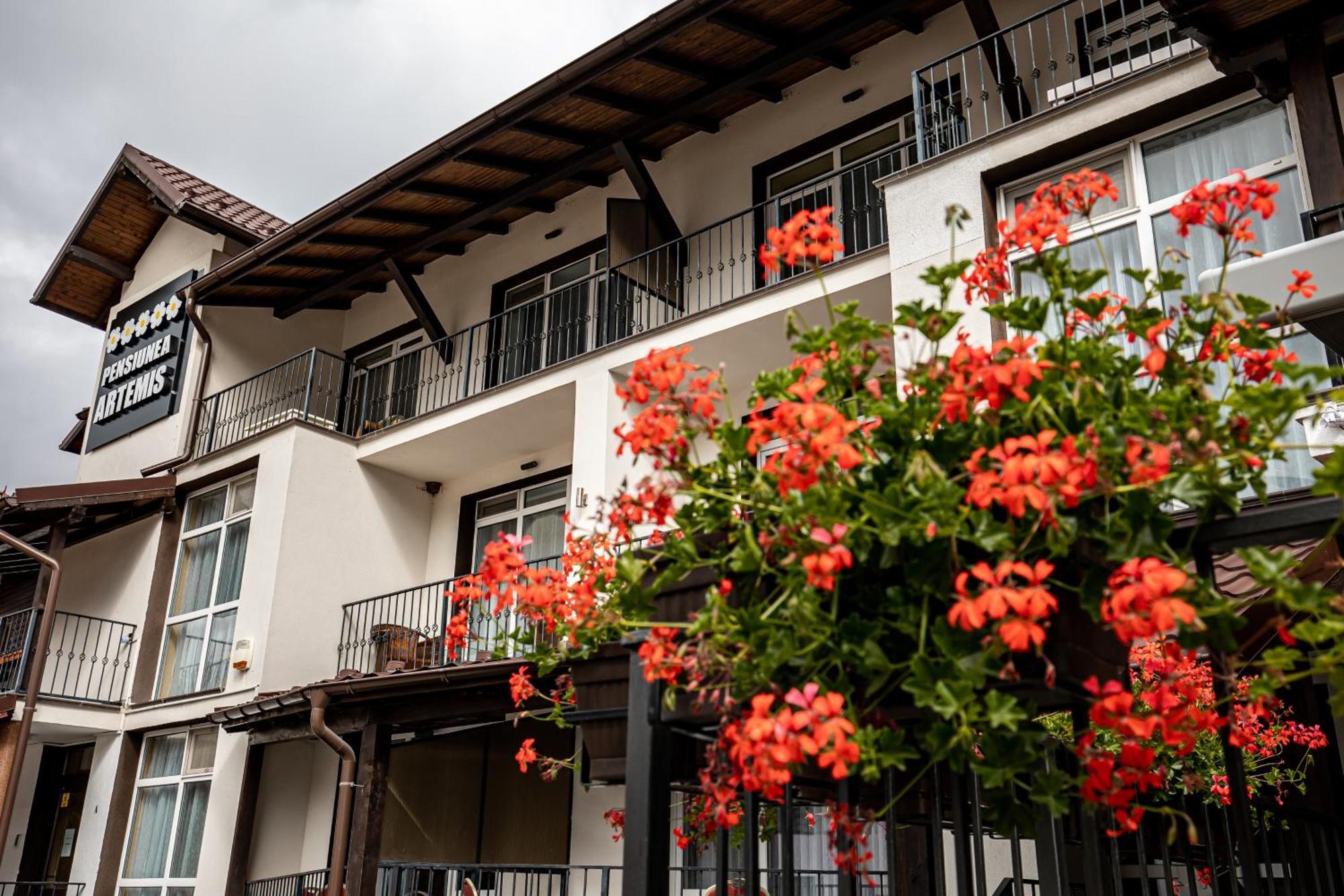 Artemis Villa Poiana Braşov Exterior foto