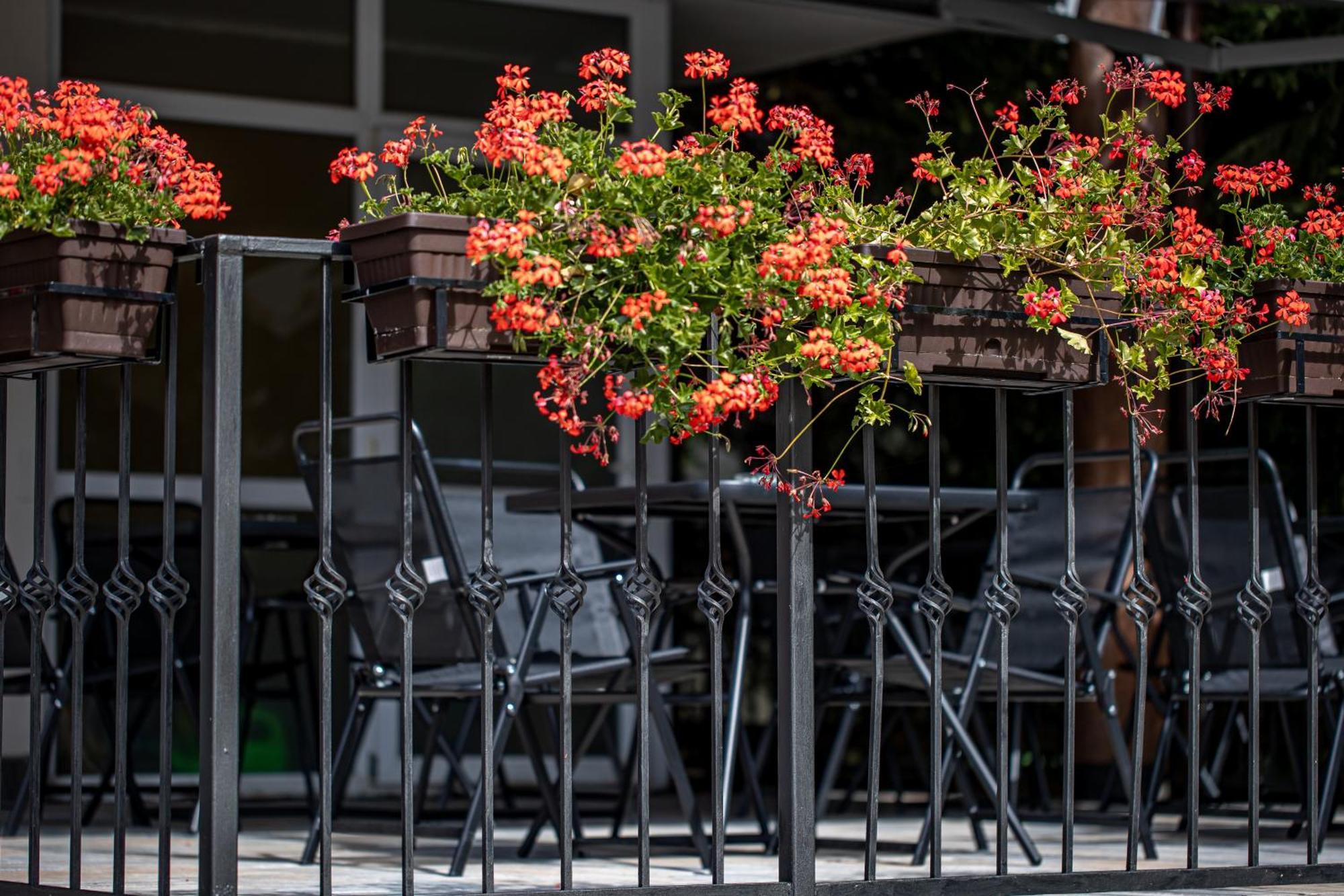 Artemis Villa Poiana Braşov Exterior foto