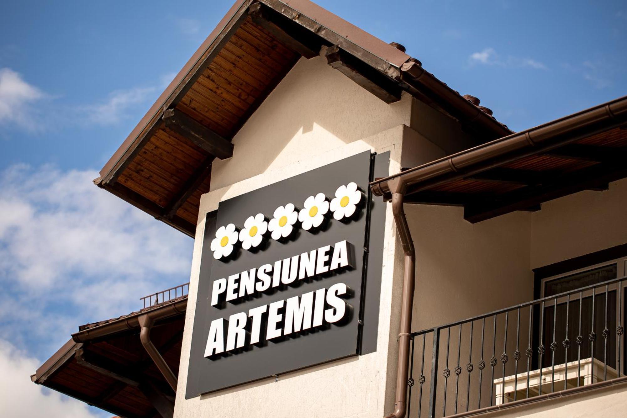 Artemis Villa Poiana Braşov Exterior foto