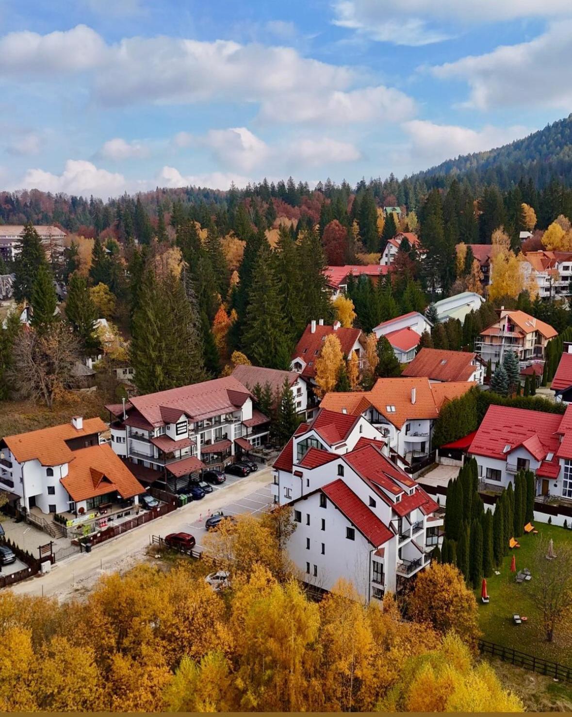 Artemis Villa Poiana Braşov Exterior foto